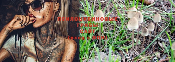 ECSTASY Пролетарск